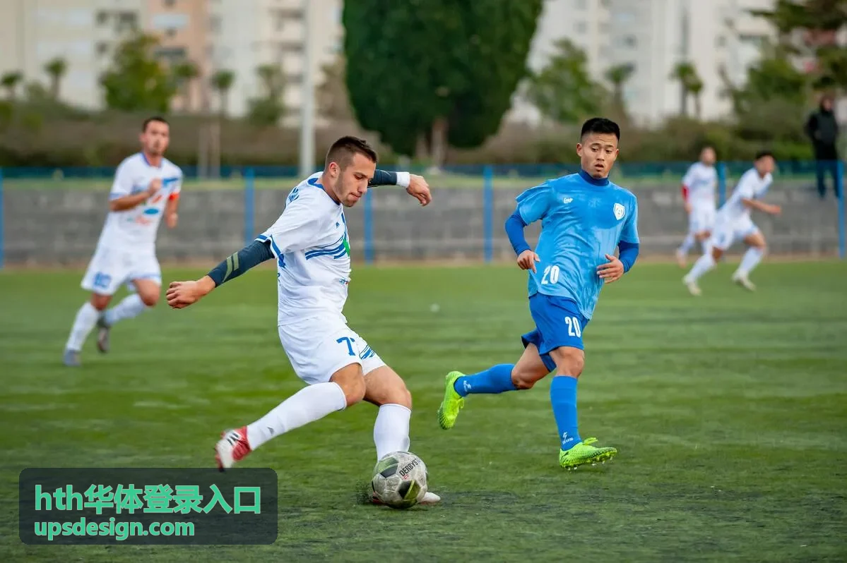 hth华体登录入口登录通道与账号验证示意